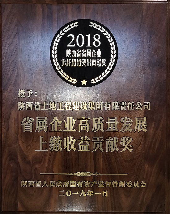 2018年省屬企業(yè)高質(zhì)量發(fā)展凈資產(chǎn)收益優(yōu)秀獎 (2).jpg