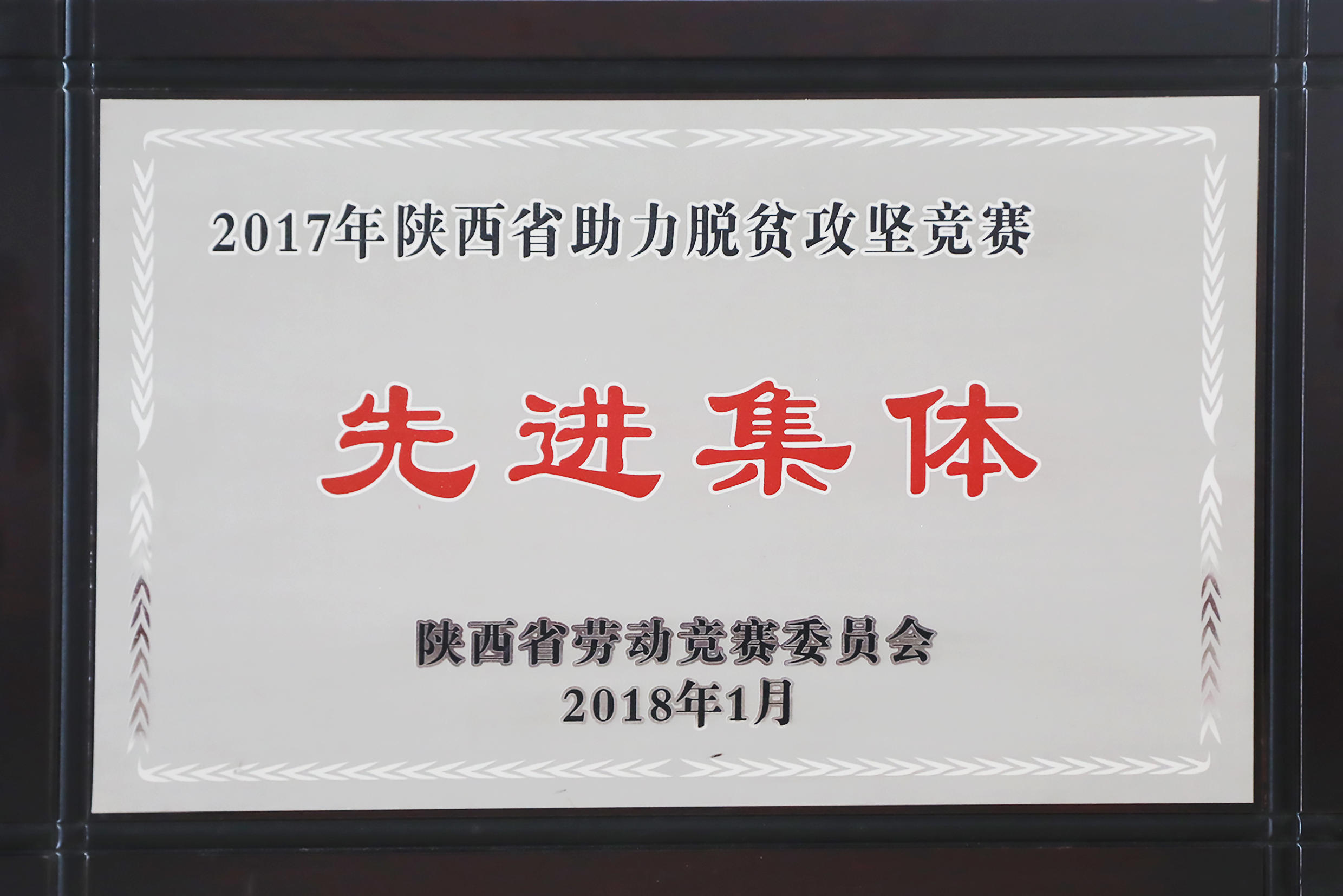 2018.1-2017年陜西省助力脫貧攻堅競賽先進(jìn)集體.JPG